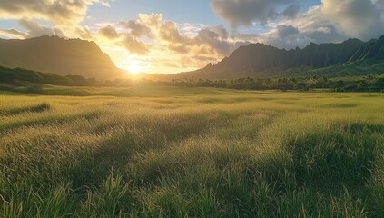 Golden sunset over a grassy valley (1)
