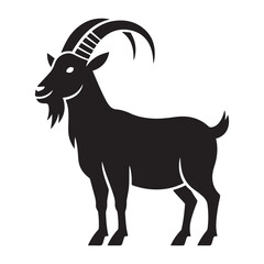  black goat isolated on white background