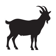 Obraz premium goat silhouette isolated on white