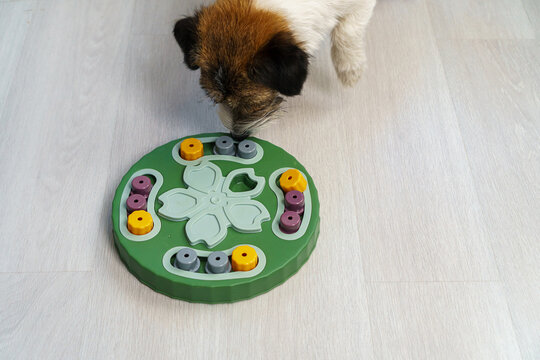 Dog sniffing training with smart toy