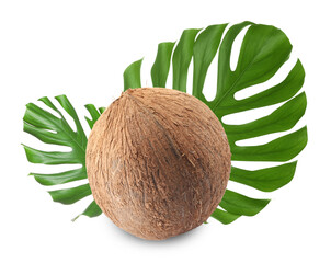 Fresh coconut and green tropical monstera leaves isolated on white