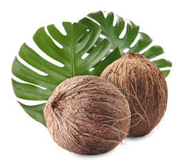 Fresh coconuts and green tropical monstera leaves isolated on white