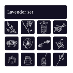 Lavender hand drawn doodle set. Vector illustration. Isolated elements on white background. Symbol collection.