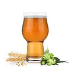 Fresh beer in glass with hop flowers and ears of wheat on white background