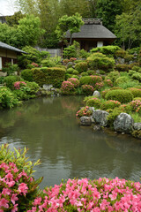 Naklejka premium 春の等持院庭園 芙蓉池と清漣亭(京都市北区)