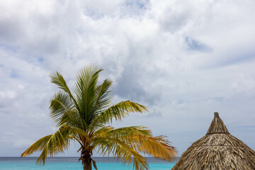 Palm tree and parasol on the beach of Grote Knip, Curaçao.