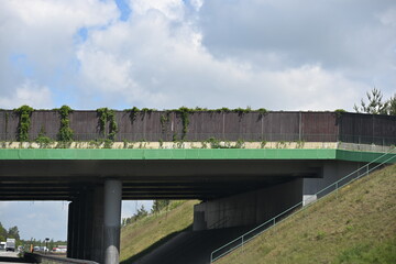wiadukt nad autostradą dla zwierząt żelbet przęsło