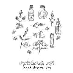 Patchouli hand drawn set Vector isolated objects