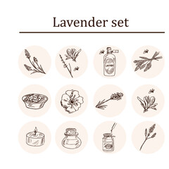 Lavender hand drawn doodle set. Vector illustration. Isolated elements on white background. Symbol collection.