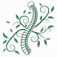 Line art icon of a spine intertwined with vines, symbolizing health and support