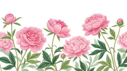 Pink peonies floral arrangement isolated on a white background png