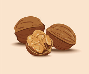Closeup of Walnuts Shells and Kernels