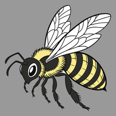 Hand drawn bee outline illustration