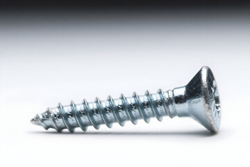 screws isolated on white