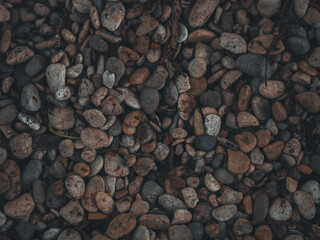 Wet pebbles of various colors and textures create a beautiful and natural backdrop, perfect for adding a touch of nature to any project. Beautiful it is made of multi-colored sea pebbles.