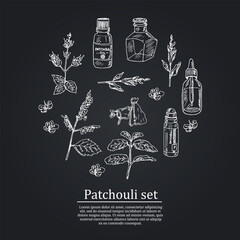 Patchouli hand drawn set Vector isolated objects