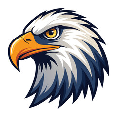 Fototapeta premium american bald eagle with white background