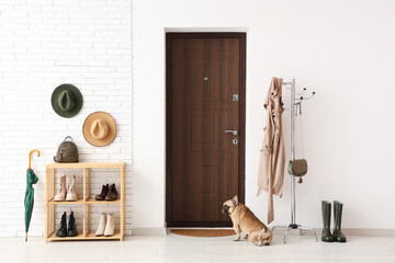 Cute French bulldog near door in modern hallway