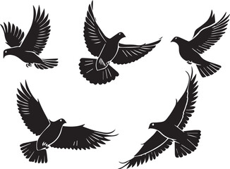 Fototapeta premium Silhouette of Five Pigeons in Flight