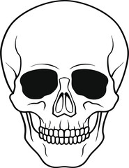 Skull line art vector design 