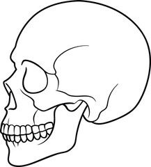Skull line art vector design 