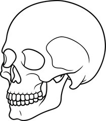 Skull line art vector design 