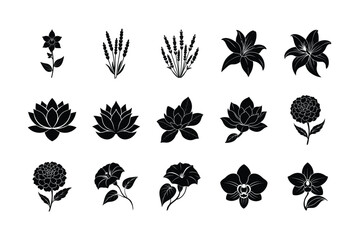 set of black and white flowers