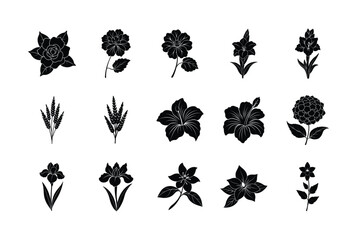 Fototapeta premium set of black and white flowers