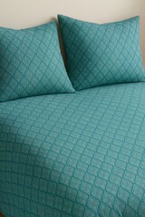 Close up of two turquoise pillows and a matching patterned bedspread on a bed in a bright room