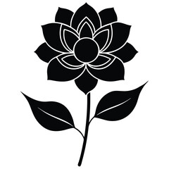 black and white flower