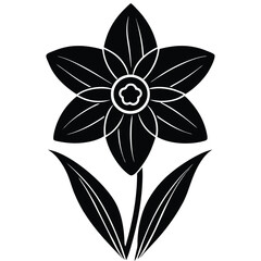 black and white flowers