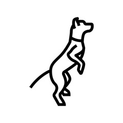 standing tall dog competition show line icon vector illustration