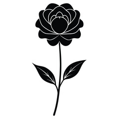 vector illustration of rose