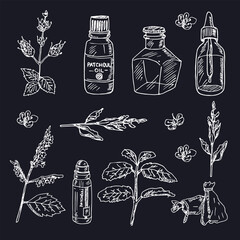 Patchouli hand drawn set Vector isolated objects