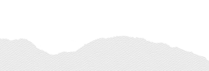 White canvas paper texture with rough, ripped edge and torn border, creating dramatic contrast...