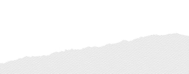White canvas paper texture with ripped edge, showing rough torn border and subtle grain, isolated on transparency background, creating minimalist and creative design