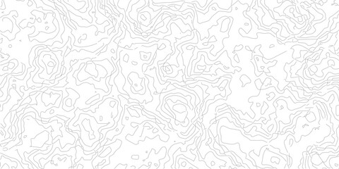 Black and white landscape geographic pattern.Topography and geography map grid abstract backdrop.The stylized height of the topographic map in contour, lines. creative cartography.