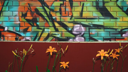 Lilies in front of a brick wall painted with graffiti