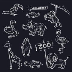 Zoo hand drawn doodle set. Isolated elements on white background. Symbol collection.