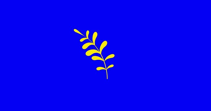 Cartoon simple yellow eleven leaves plant fern grow bluebox. Business style plant good for explainer. Flat vector simple business style infographic animation 4k video motion design graphic.
