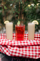 Colorful summer drinks on a checkered cloth with greenery backdrop.