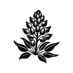 Bluebonnet flower on white background vector illustration