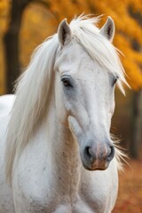 A single white horse stands in front of a tall tree, perfect for rural or country-themed projects
