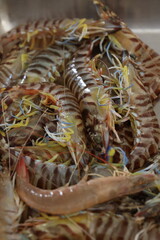 Fresh tiger prawns with vibrant legs, ready for gourmet cooking.
