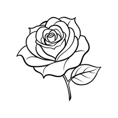Rose flower on white background line art vector illustration