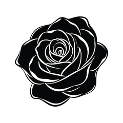 Rose flower  on white background vector illustration