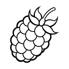 Solid raspberries with a leaf on white background vector illustration