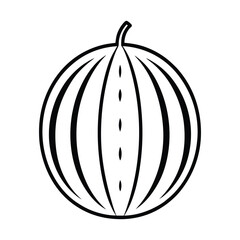 Watermelon on white background vector illustration