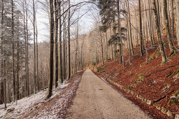 Naklejka premium vista panoramica su una strada sterrata che passa tra le foreste e le montagne di un ambiente naturale nella Slovenia occidentale, di giorno, in inverno, con cielo nuvoloso