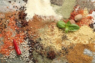 Many different spices on grey table, flat lay